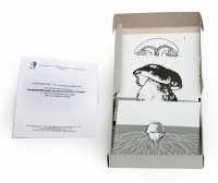 Модель-аппликация Размножение шляпочного гриба (набор из 9 карт) - «globural.ru» - Междуреченск