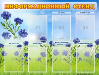 Стенд информационный с 7 карманами - «globural.ru» - Междуреченск