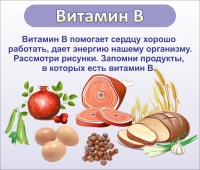 Стенд "Витамин В" - «globural.ru» - Междуреченск
