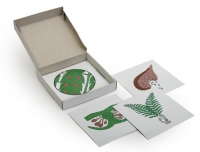 Модель-аппликация Размножение папоротника (набор из 8 карт) - «globural.ru» - Междуреченск