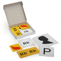 Модель-аппликация Наследование резус-фактора (набор из 19 карт) - «globural.ru» - Междуреченск