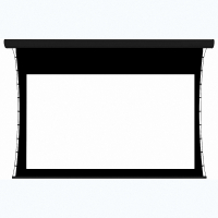 Экран настенный с электроприводом DSTPX-16915 - «globural.ru» - Междуреченск