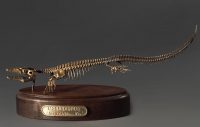 Модель скелета мозазавра Mosasaurus - «globural.ru» - Междуреченск