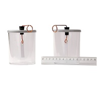 Электроскопы (2 штуки) - «globural.ru» - Междуреченск