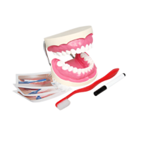 Игровой комплект "Чистим зубы" - «globural.ru» - Междуреченск