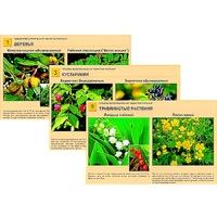 Гербарий фотографический "Ядовитые растения" - «globural.ru» - Междуреченск