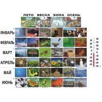 Фенологические наблюдения - «globural.ru» - Междуреченск