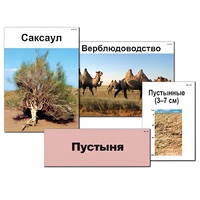 Модель-аппликация "Природные зоны России" - «globural.ru» - Междуреченск