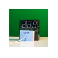 Датчик температуры с независимой индикацией (термометр демонстрационный) - «globural.ru» - Междуреченск