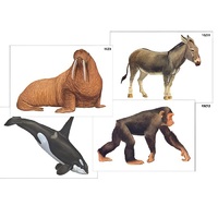 Модель-аппликация "Разнообразие высших хордовых 2. Млекопитающие" (ламинированная) - «globural.ru» - Междуреченск