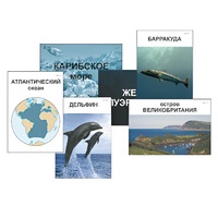 Модель-аппликация "Океаны. Знакомство" (ламинированная) - «globural.ru» - Междуреченск
