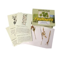 Гербарий "Систематика растений. Семейство Бобовые. Злаки" (раздаточный) - «globural.ru» - Междуреченск