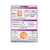 Таблица демонстрационная "Тела вращения" (винил 70х100) - «globural.ru» - Междуреченск