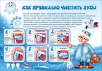 Стенд "Как правильно чистить зубы" - «globural.ru» - Междуреченск