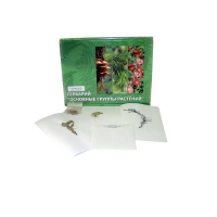 Гербарий Основные группы растений (52 вида) - «globural.ru» - Междуреченск