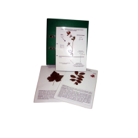 Гербарий к курсу основ общей биологии (20 листов) (лам.) формат А-4 - «globural.ru» - Междуреченск