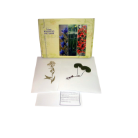 Гербарий Ядовитые растения (20 видов) - «globural.ru» - Междуреченск