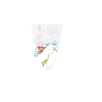 Гербарий "Систематика растений" (28 видов) - «globural.ru» - Междуреченск