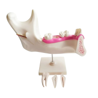 Комплект моделей - «globural.ru» - Междуреченск