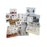 Комплект коллекций демонстрационный - «globural.ru» - Междуреченск