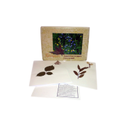 Гербарий Дикорастущие растения (28 видов) - «globural.ru» - Междуреченск