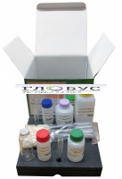 Тест-комплект «Железо общее» - «globural.ru» - Междуреченск