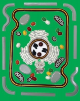 Модель-аппликация Строение клетки - «globural.ru» - Междуреченск