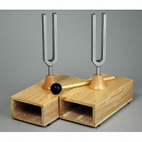 Камертоны на резонансных ящиках с молоточком - «globural.ru» - Междуреченск