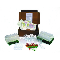 Набор посуды и принадлежностей (Микролаборатория на 2-ух учащихся) - «globural.ru» - Междуреченск