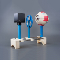 Модель демонстрационная "Зрение" (электрическая) - «globural.ru» - Междуреченск