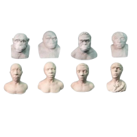 Набор палеонтологических муляжей - «globural.ru» - Междуреченск