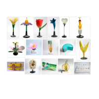 Комплект ботанических моделей демонстрационный - «globural.ru» - Междуреченск