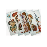 Таблицы рельефные - «globural.ru» - Междуреченск