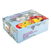 Набор муляжей "Дикая форма и культурные сорта яблок" - «globural.ru» - Междуреченск