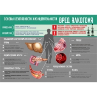 Стенд "Алкоголь" - «globural.ru» - Междуреченск