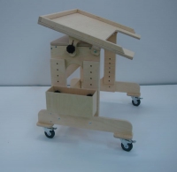 Столик на колесиках для детей с ограниченными возможностями - «globural.ru» - Междуреченск