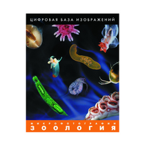 Зоология. Микрофотографии. (Цифровая база изображений) - «globural.ru» - Междуреченск