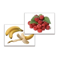 Дидактическое пособие "Фрукты, ягоды, орехи" (24 карточки, А4, ламинированные) - «globural.ru» - Междуреченск