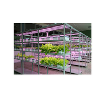 Обучающий комплект "АГРОкласс" - «globural.ru» - Междуреченск