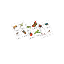 Фланелеграф "Насекомые" - «globural.ru» - Междуреченск