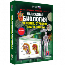 Наглядная биология. Человек. Строение тела человека - «globural.ru» - Междуреченск