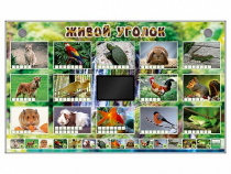 Комплект оборудования "Живой уголок" (животные) - «globural.ru» - Междуреченск