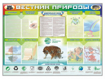 Стенд-уголок "Вестник природы" (вариант 1) - «globural.ru» - Междуреченск