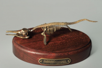 Модель скелета ихтиозавра Ichthyosaurus - «globural.ru» - Междуреченск