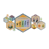 «Стендум - Биология» - набор информационно-методических панелей (10 шт.) - «globural.ru» - Междуреченск