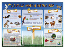 Стенд-уголок "Друзья наши меньшие" - «globural.ru» - Междуреченск