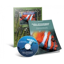 Электронное наглядное пособие «Рыбы. Земноводные. Пресмыкающиеся» - «globural.ru» - Междуреченск