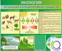 Стенд "Экология. Организация и функционирование сообществ" - «globural.ru» - Междуреченск