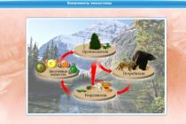 Интерактивные курсы. Биология 7 класс. Базовый - «globural.ru» - Междуреченск