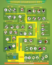Стенд "Эволюция органического мира" - «globural.ru» - Междуреченск